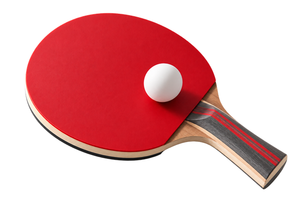 Ping pong paddles